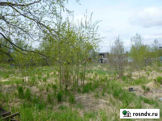 Участок СНТ, ДНП 9 сот. на продажу в Елизово Елизово - изображение 1