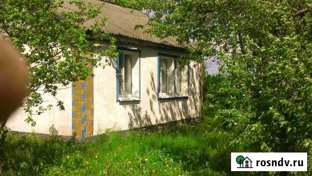 Дом 42 м² на участке 40 сот. на продажу в Куркино Куркино - изображение 1