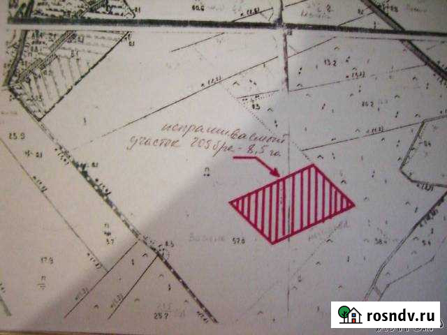 Участок СНТ, ДНП 85 сот. на продажу в Старой Руссе Старая Русса - изображение 1
