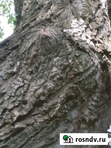 Участок ИЖС 10 сот. на продажу в Шалушке Шалушка - изображение 1