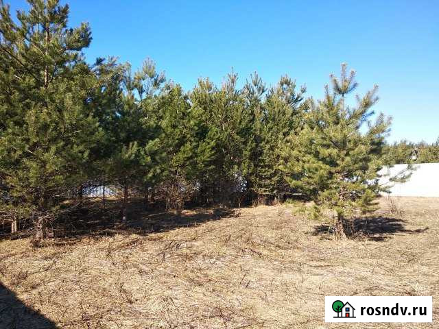 Участок СНТ, ДНП 10 сот. на продажу в Богородском Московской области Богородское - изображение 1