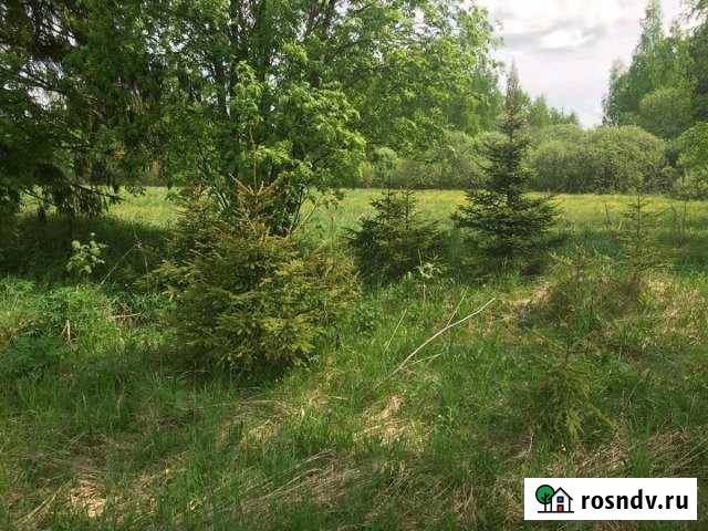 Участок СНТ, ДНП 60 сот. на продажу в Краснозаводске Краснозаводск - изображение 1