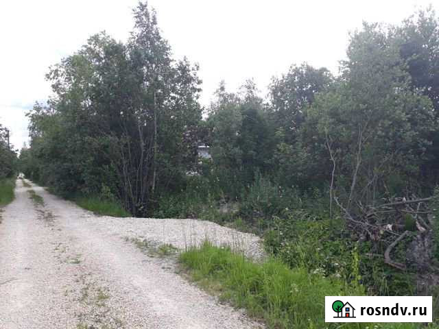 Участок СНТ, ДНП 8 сот. на продажу в Гатчине Гатчина - изображение 1