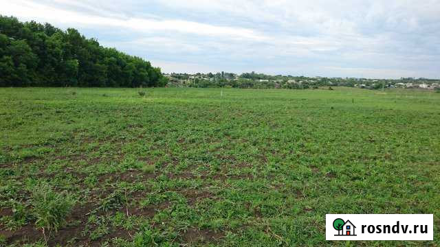 Участок ИЖС 20 сот. на продажу в Землянске Землянск - изображение 1