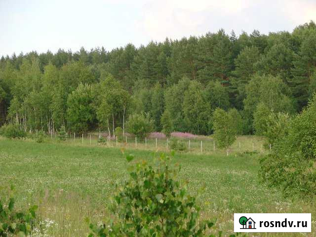 Участок СНТ, ДНП 1300 сот. на продажу в Бабынино Бабынино - изображение 1