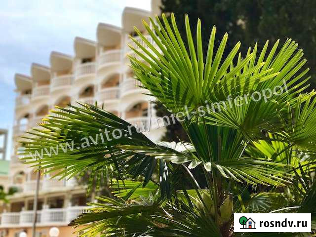 Отель 7400 кв.м. Алушта - изображение 1