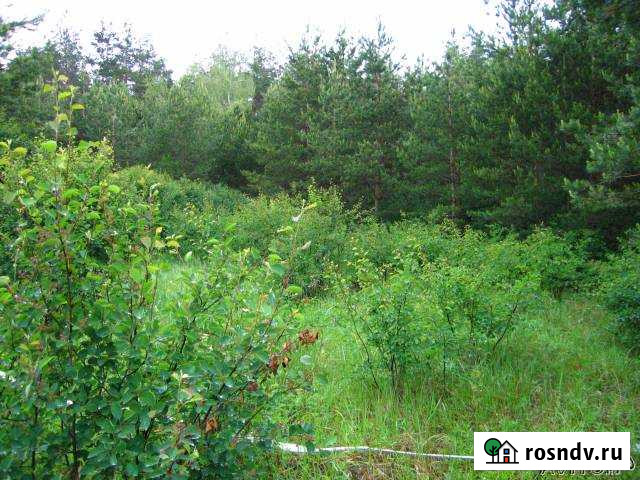 Участок СНТ, ДНП 11 сот. на продажу в Дрезне Дрезна - изображение 1