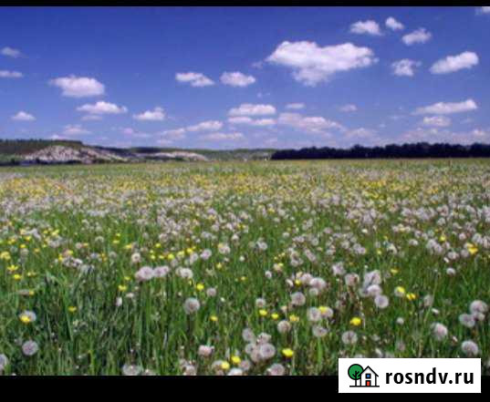 Участок СНТ, ДНП 12 сот. на продажу в Ильинском Пермского края Ильинский - изображение 1