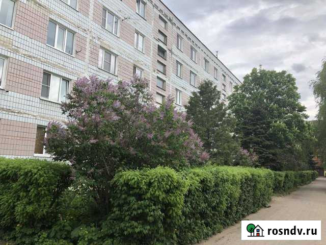 1-комнатная квартира, 29 м², 5/5 эт. на продажу в Новосиньково Новосиньково - изображение 1