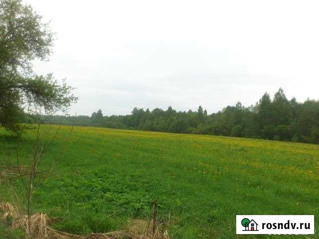 Участок СНТ, ДНП 1298 сот. на продажу в Порхове Порхов - изображение 1