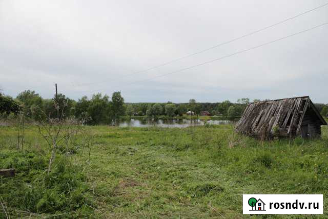 Участок ИЖС 30 сот. на продажу в Сосновском Сосновское - изображение 1
