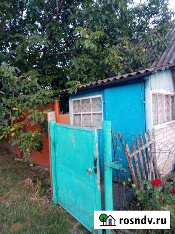 Дом 50 м² на участке 25 сот. на продажу в Курчатове Курчатов - изображение 1