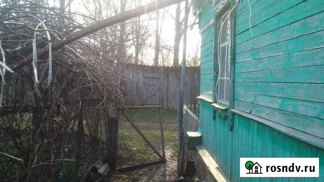 Дом 51.9 м² на участке 36 сот. на продажу в Глазуновке Глазуновка - изображение 1