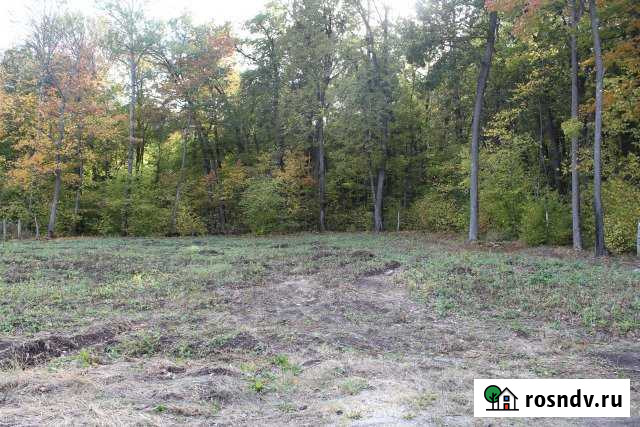 Участок СНТ, ДНП 14 сот. на продажу в Пензе Пенза - изображение 1