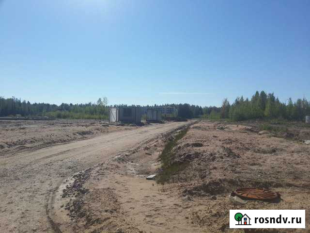 Участок ИЖС 7 сот. на продажу в Сосновом Бору Сосновый Бор - изображение 1