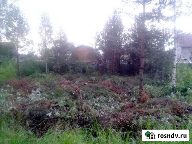Участок СНТ, ДНП 6 сот. на продажу в Ногинске Ногинск - изображение 1