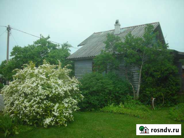 Дом 48 м² на участке 9.3 сот. на продажу на Лугах Луга - изображение 1