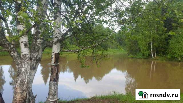 Участок СНТ, ДНП 1100 сот. на продажу в Ильинском Пермского края Ильинский - изображение 1