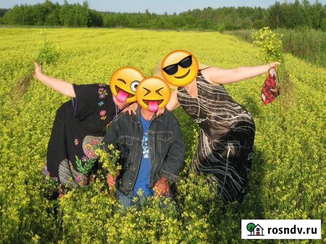 Участок ИЖС 9 сот. на продажу в Куровском Куровское - изображение 1