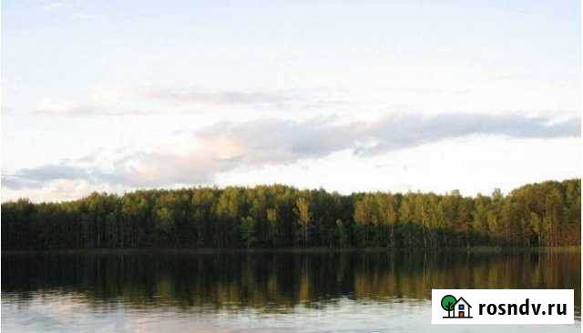 Дача 20 м² на участке 9 сот. на продажу в Заволжье Заволжье - изображение 1