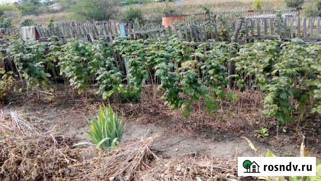 Участок СНТ, ДНП 7 сот. на продажу в Новосемейкино Новосемейкино - изображение 1