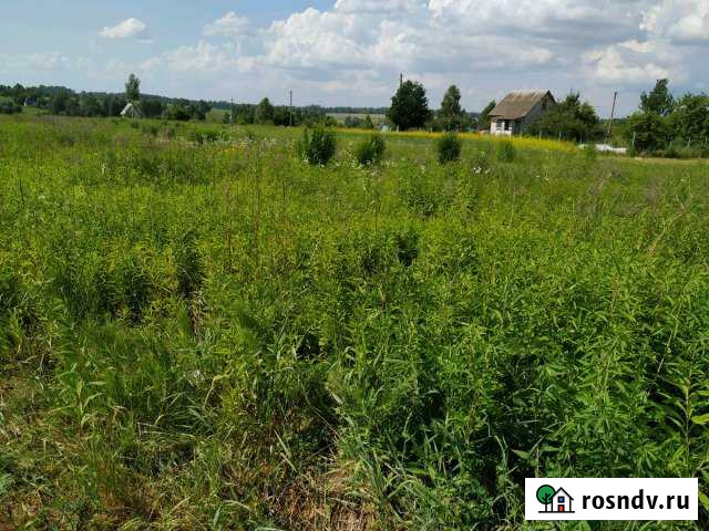 Участок ИЖС 14 сот. на продажу в Добруне Добрунь - изображение 1