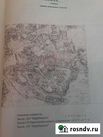 Участок СНТ, ДНП 231 сот. на продажу в Невеле Невель - изображение 1