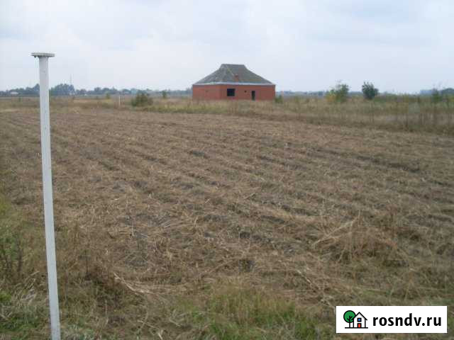 Участок ИЖС 12 сот. в аренду в Калининской Калининская - изображение 1