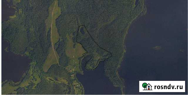 Участок СНТ, ДНП 1568 сот. на продажу в Невеле Невель - изображение 1