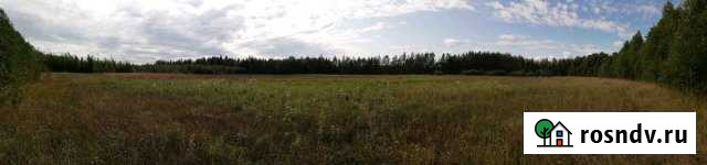 Участок СНТ, ДНП 100 сот. на продажу в Кондопоге Кондопога - изображение 1