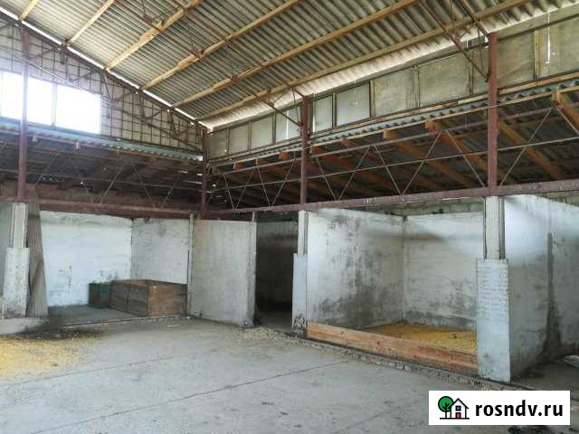 Участок СНТ, ДНП 90 сот. на продажу в Отрадо-Кубанском Отрадо-Кубанское - изображение 1