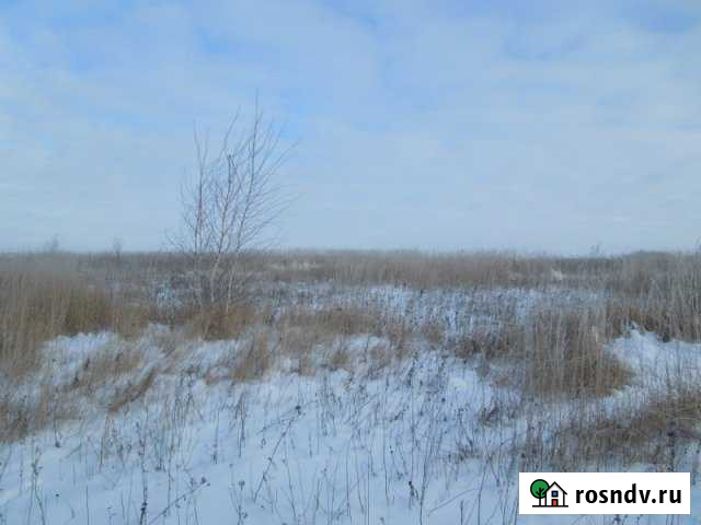 Участок СНТ, ДНП 286 сот. на продажу в Бегуницах Бегуницы - изображение 1