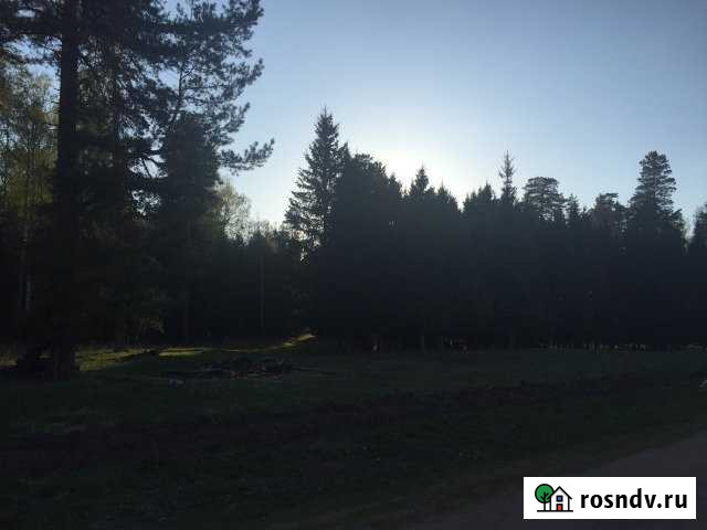 Дом 37.3 м² на участке 24.4 сот. на продажу в Куяново Куяново - изображение 1