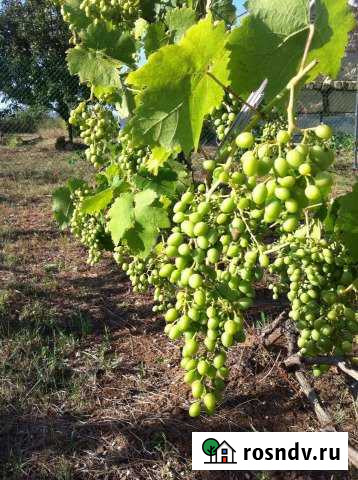 Участок СНТ, ДНП 10 сот. на продажу в Жаворонках Жаворонки - изображение 1