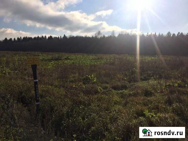 Участок ИЖС 16 сот. на продажу в Бегуницах Бегуницы - изображение 1