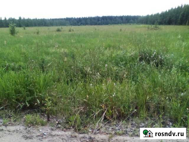 Участок СНТ, ДНП 290 сот. на продажу в Рахье Рахья - изображение 1