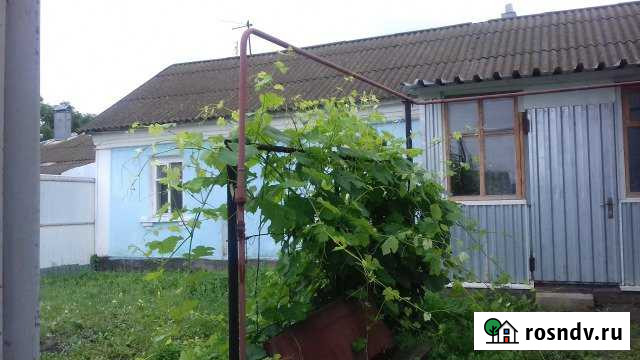 Дом 64 м² на участке 36 сот. на продажу в Хохольском Хохольский - изображение 1