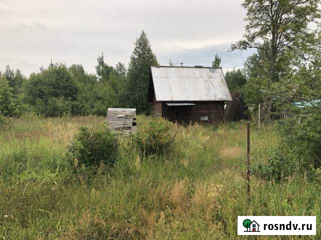 Дом 50 м² на участке 14 сот. на продажу в Назие Назия - изображение 1