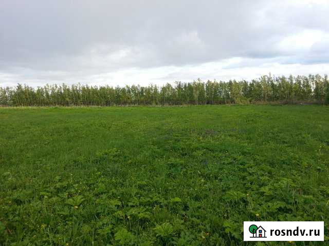 Участок СНТ, ДНП 167 сот. на продажу в Правдинском Правдинский - изображение 1