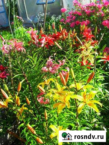 Участок СНТ, ДНП 5 сот. на продажу в Анадыре Анадырь - изображение 1