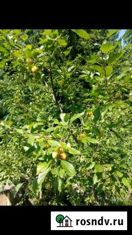 Участок ИЖС 10 сот. на продажу в Наро-Фоминске Наро-Фоминск - изображение 1