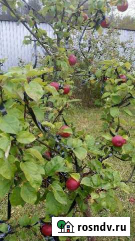 Участок ИЖС 15 сот. на продажу в Лахденпохье Лахденпохья - изображение 1