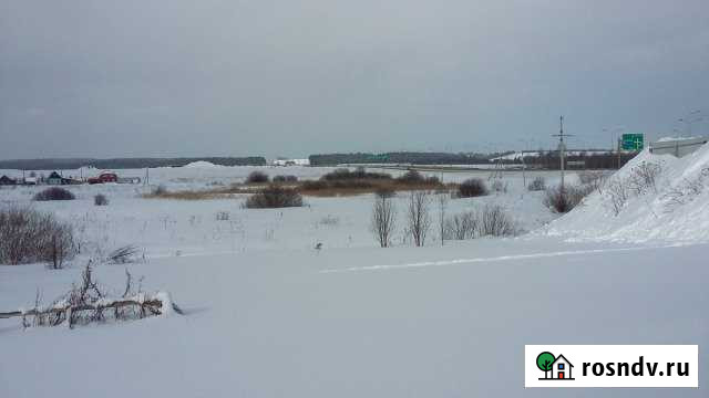 Участок ИЖС 20 сот. на продажу в Бершете Бершеть - изображение 1