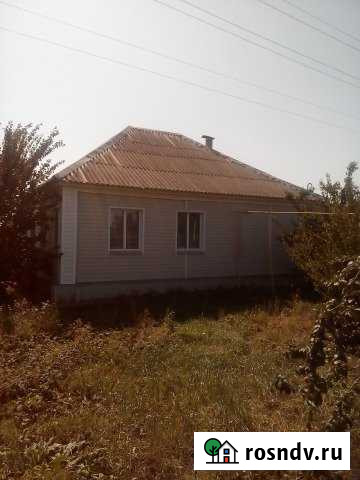 Дом 79 м² на участке 40 сот. на продажу в Давыдовке Давыдовка - изображение 1