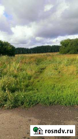 Участок ИЖС 40 сот. на продажу в Лузино Лузино - изображение 1