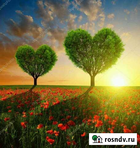 Участок СНТ, ДНП 320 сот. на продажу в Ворсме Ворсма - изображение 1