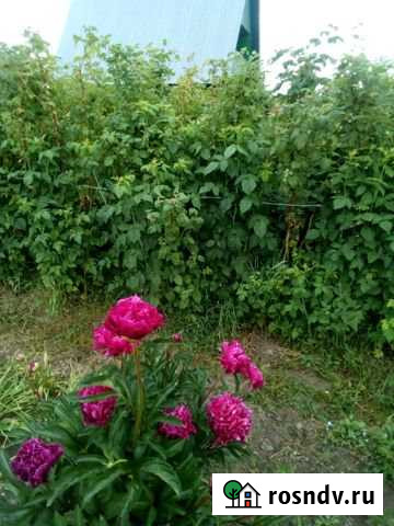 Дача 20 м² на участке 7 сот. на продажу в Урае Урай - изображение 1