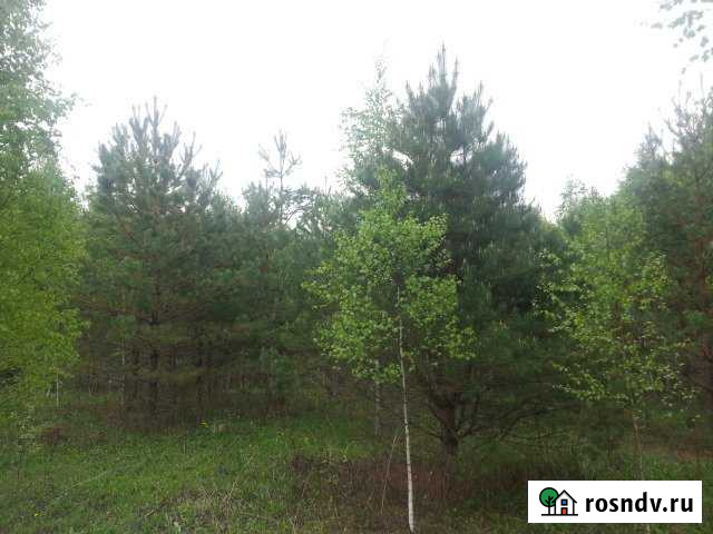 Участок ИЖС 126 сот. на продажу в Ворсме Ворсма - изображение 1