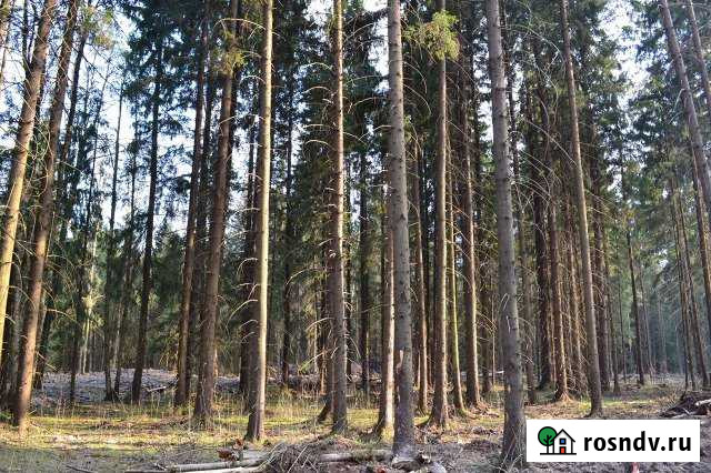 Участок ИЖС 10 сот. на продажу в Некрасовском Московской области Некрасовский - изображение 1