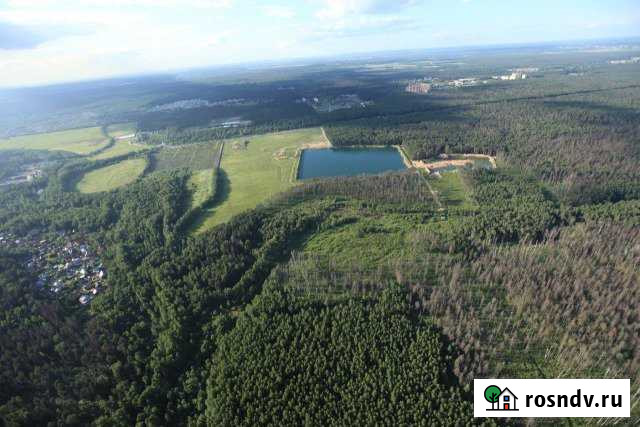 Участок СНТ, ДНП 602 сот. на продажу в Старой Купавне Старая Купавна - изображение 1